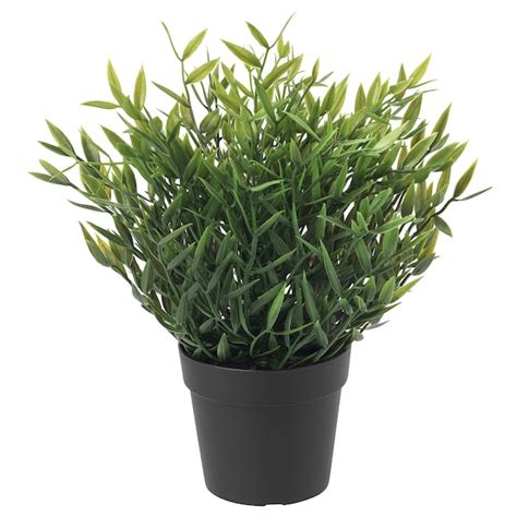 Fejka Artificial Potted Plant Inoutdoor House Bamboo 9 Cm Ikea