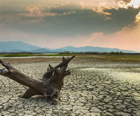 This Organization Is Blowing Up Dams To Save Americas Rivers World