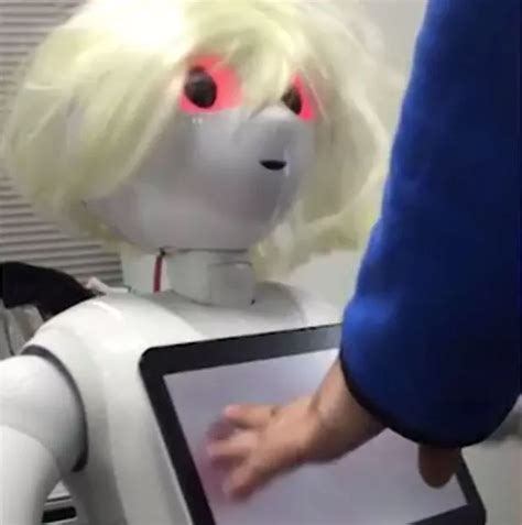 Emotional Robot Slapped With Sex Ban And Its Owners Will Even Have To Sign A Contract Irish