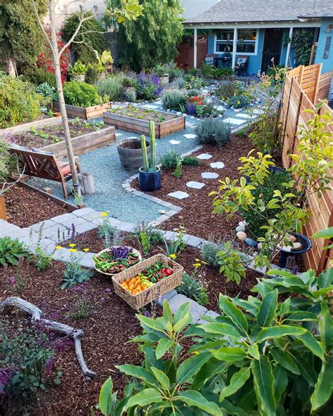 Mulching 101: When, Why & How to Mulch Your Garden ~ Homestead and Chill