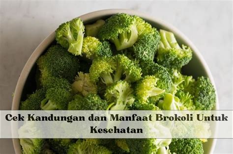 Brokoli Punya Segudang Khasiat Cek Kandungan Dan Manfaatnya Untuk