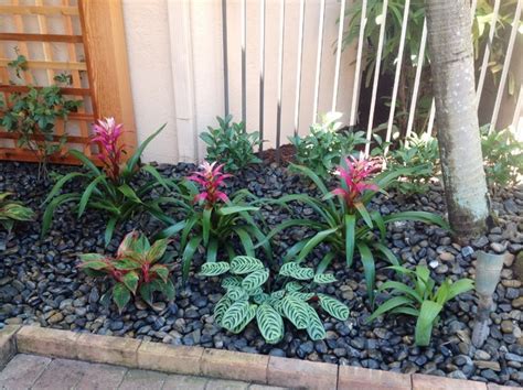 Front Yard Design Exotique Jardin Miami Par Eileen G Designs