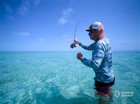 FishingBooker Great Barrier Reef Fishing The Complete Guide