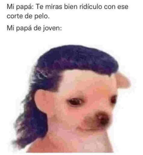 El Perro Remata El Chiste Xd Meme Subido Por Nemehoy Memedroid