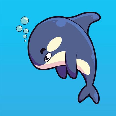 cute baby orca whale character illustration 13654426 Vector Art at Vecteezy