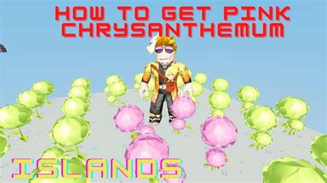 How To Get Pink Chrysanthemum Islands Roblox Youtube