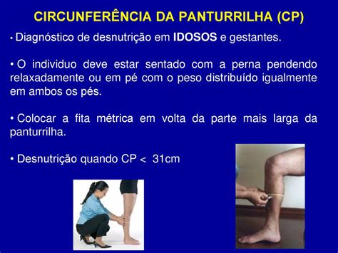 Circunferência Da Panturrilha Idoso Oms BRAINCP