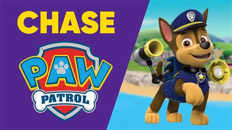 Everything You Need To Know About Chase From Paw Patrol Pawpatrol