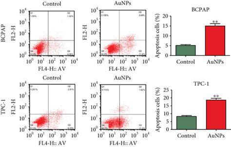 Effects Of Aunps On Cell Apoptosis Of Bcpap And Tpc 1 Cells A Cells