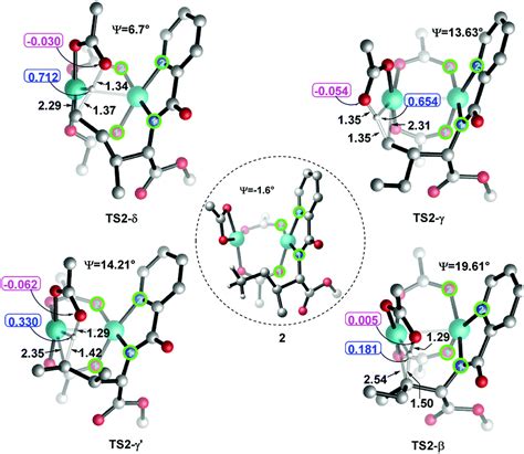 Computational study on palladium catalyzed alkenylation of remote δ C