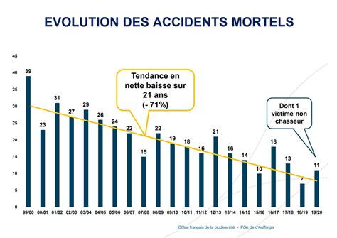 Bilan Des Accidents De Chasse 2019 2020