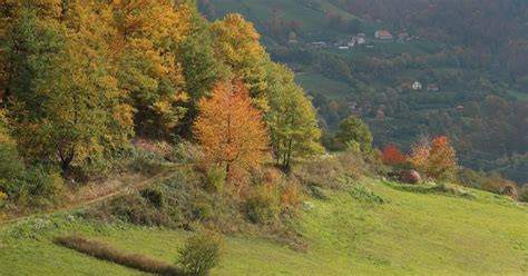 U Republici Srpskoj oboren temperaturni rekord za novembar Živa u