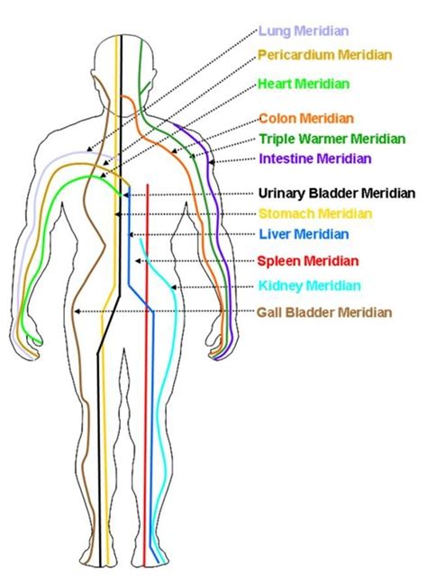 The Meridians — Rising Moon Tai Chi