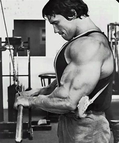 Arnold Schwarzenegger Triceps