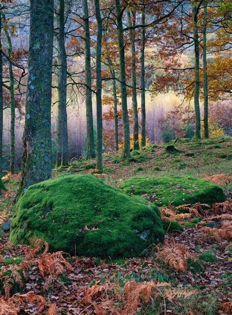 By photographer Joe Cornish | Best landscape photographers, Landscape ...