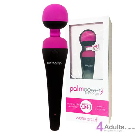 Palmpower Massage Wand Recharge Waterproof Buy Direct From 4adults