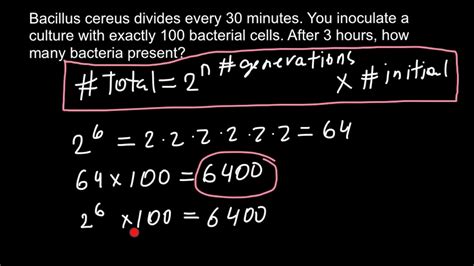 How To Calculate Exponential Growth Of Bacteria Youtube