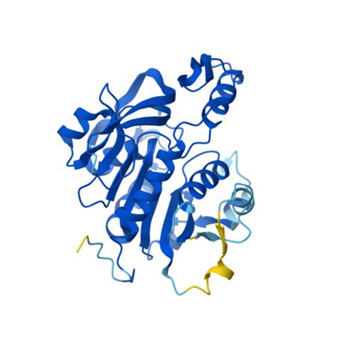 Rcsb Pdb Af Afp F Computed Structure Model Of Homoserine O