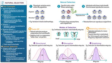 General Biology Natural Selection Ditki Medical Biological Sciences