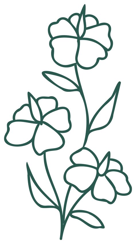 Floral Line Art Linear Botanical Design Element Flower Drawings With