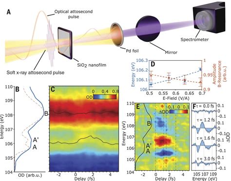 Soft X Ray Excitonics Science