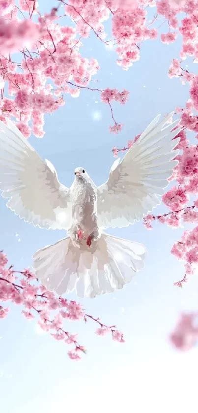 Dove And Cherry Blossom Wallpaper Free Download