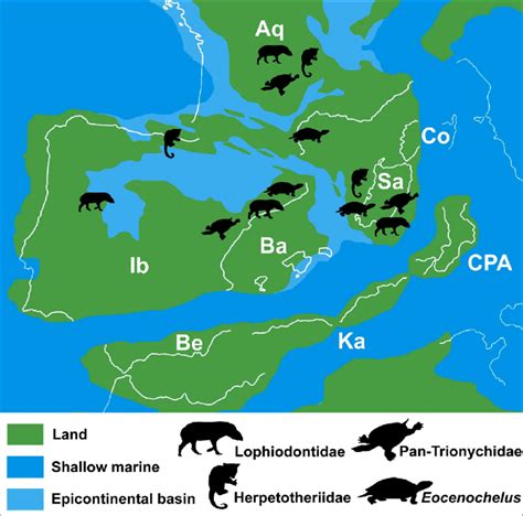 Palaeogeographic Reconstruction Of The Western Mediterranean During