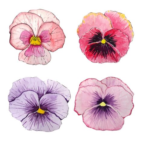 Premium Vector Watercolor Colorful Spring Flower Buds