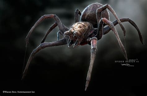 Abaker The Hobbit Desolation Of Smaug Creature Work