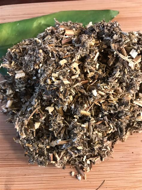 Mugwort Dried Herb Black Sage Artemisia Vulgaris