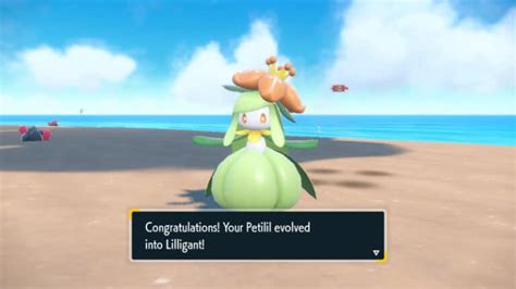 How To Evolve Petilil Into Lilligant In Pok Mon Scarlet Violet