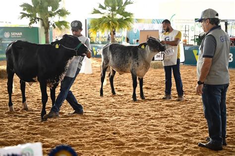 Come A Mais Uma Edi O Da Exposul Rural Em Cachoeiro Prefeitura De