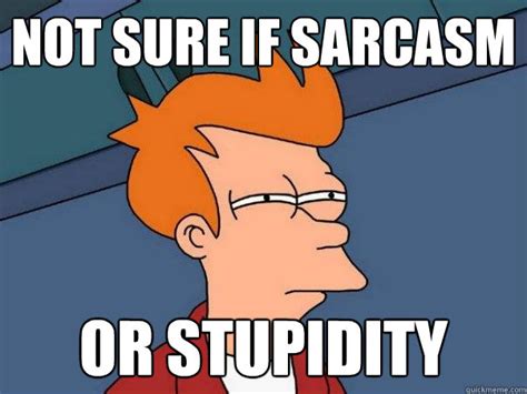 Not Sure If Sarcasm Or Stupidity Futurama Fry Quickmeme