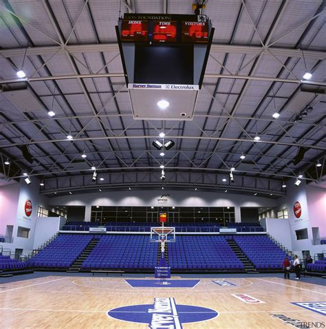 Basketball Court Stadium