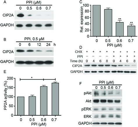 Ppi Decreases Cip2a And Inhibits Cip2app2aakt Signaling Axis A