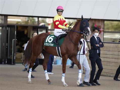 【京阪杯枠順確定】トウシンマカオは7枠14番、タイセイビジョンは6枠11番 競馬ニュース Netkeiba