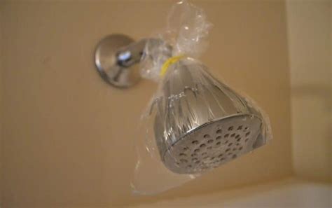 How To Clean A Shower Head 6 Easy Ways