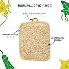 Amazon Qucurby All Natural Loofah Kitchen Sponge 3 Pack Eco