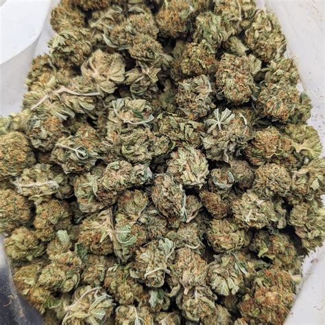 Buy King Kush (AAA) *smalls/popcorn* - Top Shelf BC