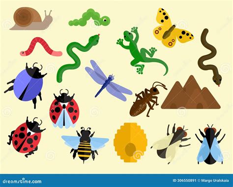 A Collection Of Insects And Reptiles Stock Illustration Illustration Of Mouse Swallow 306550891