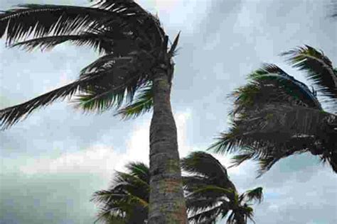 The Prevailing Windy Condition Over The Island Is Expected To Continue