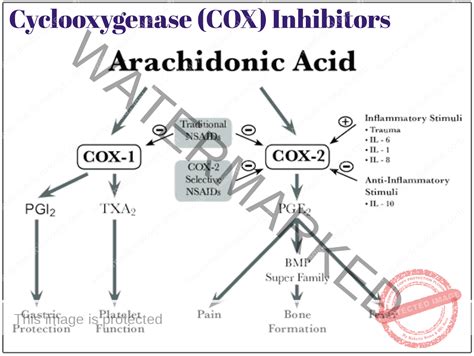 Cyclooxygenase COX Inhibitors Medicine Keys For MRCPs