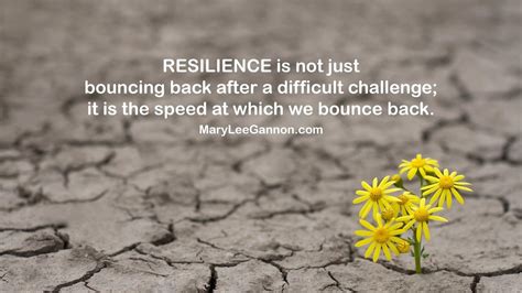 Resilience Bounce Back