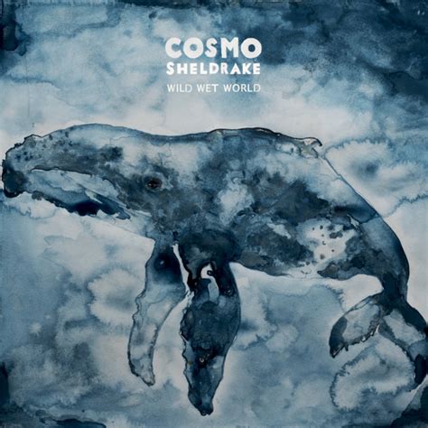 Wild Wet World Álbumby Cosmo Sheldrake Spotify