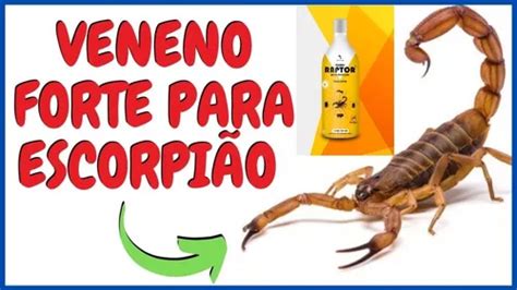 Lan Amento Raptor Veneno Mata Escorpi O Multi Inseticida Venda Em S O