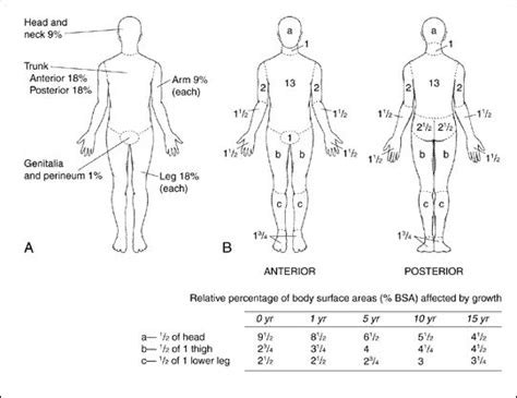 Burn Assessment Chart