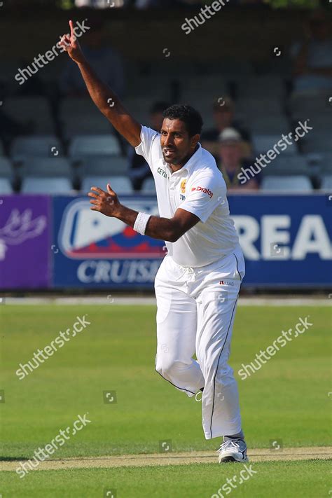 Dhammika Prasad Sri Lanka Appeal Wicket Editorial Stock Photo Stock