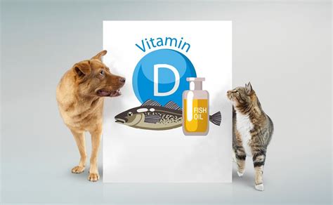 What Does Vitamin D Do To A Dog