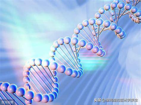 科普│基於ctc和ctdna 的液體活檢技術 每日頭條