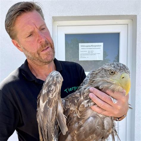 Tierpark Greifswald Wildvogelauffangstation